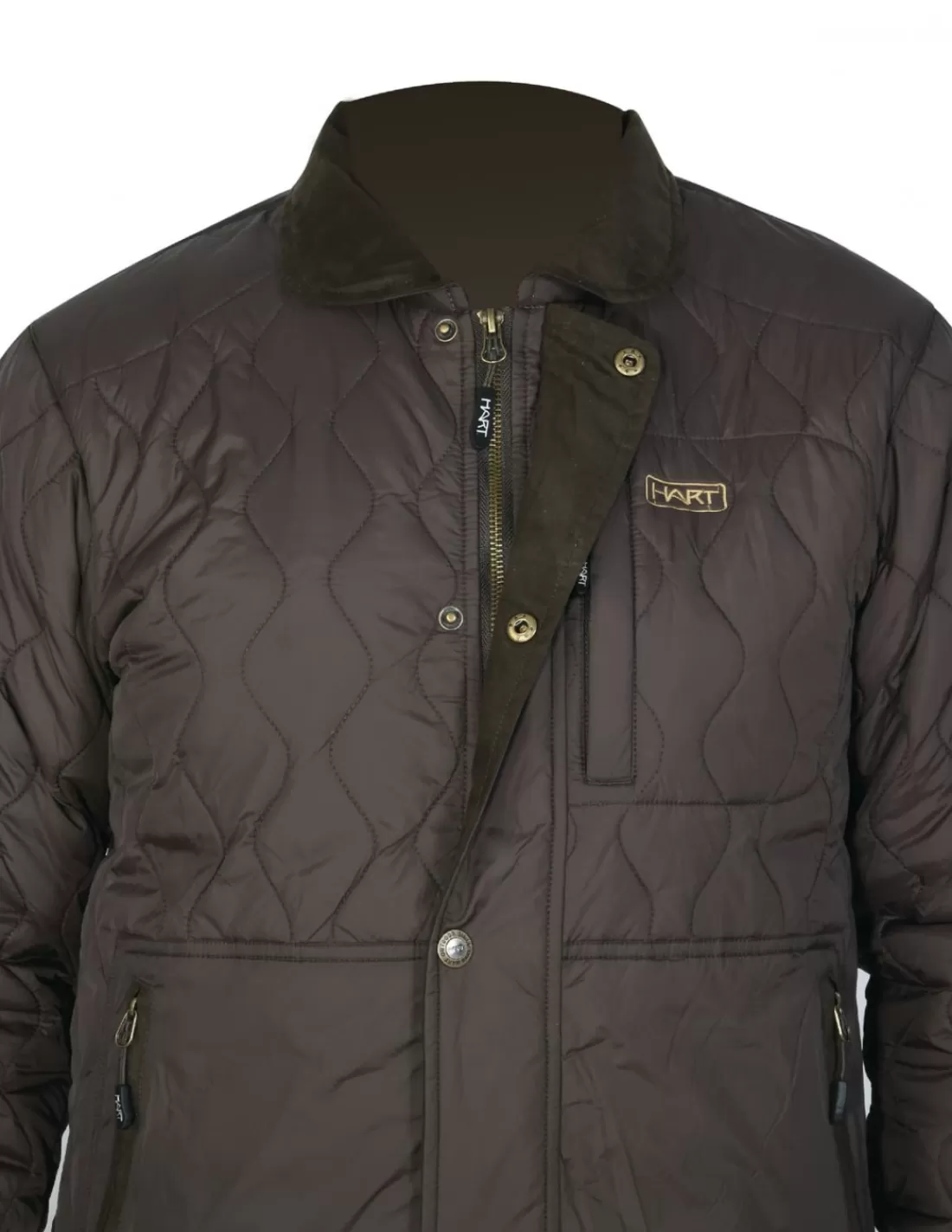 Jackets-HART HUNTING Hart Massaias-J Jacket Brown